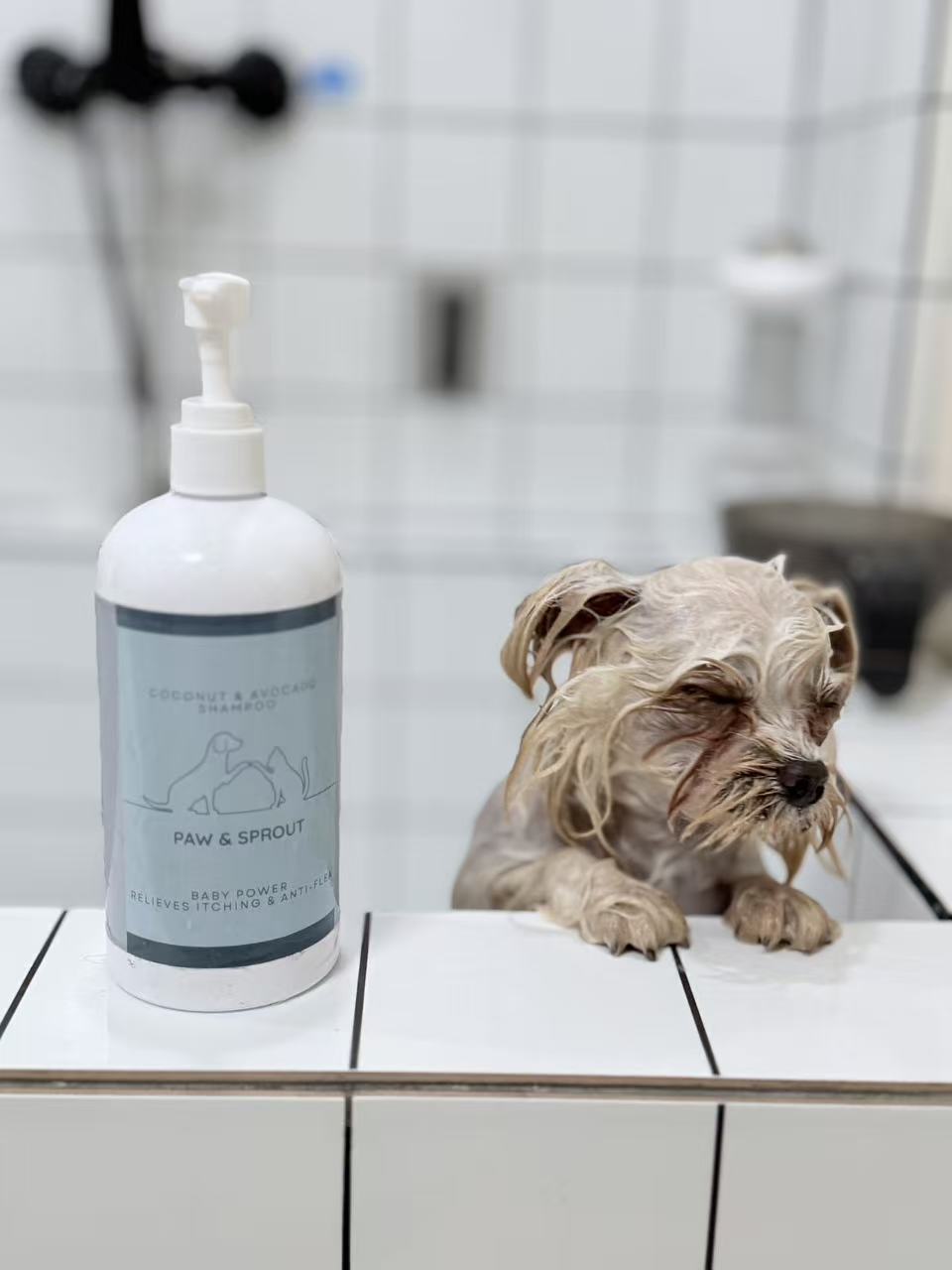 Tailored Tresses: Why One Shampoo Doesn’t Fit All Pets