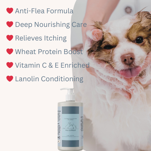 Coconut & Avocado Shampoo for Dog and Cat + Grooming Wipes Set | Free Gift