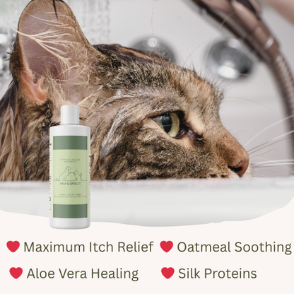 Oatmeal Shampoo & Conditioner Set for Dog and Cat | Free Gift