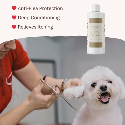 Oatmeal Shampoo & Conditioner Set for Dog and Cat | Free Gift