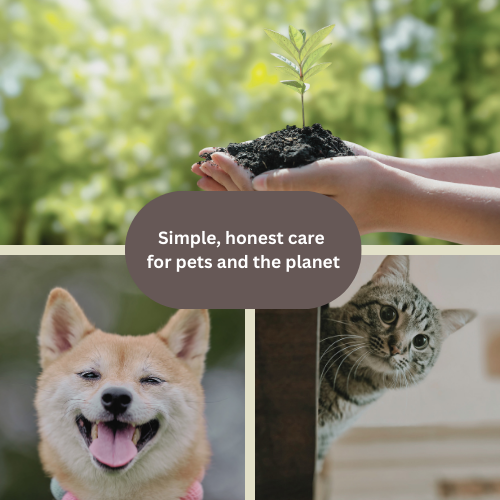 Coconut & Avocado Shampoo for Dog and Cat + Grooming Wipes Set | Free Gift