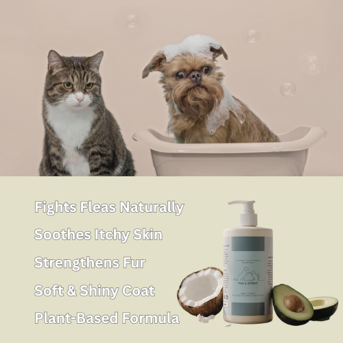 Coconut & Avocado Shampoo for Dog and Cat + Grooming Wipes Set | Free Gift