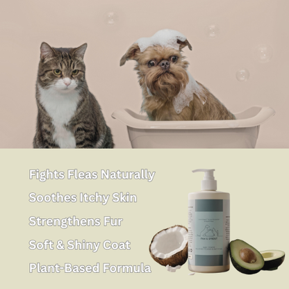 Coconut & Avocado Shampoo for Dog and Cat + Grooming Wipes Set | Free Gift
