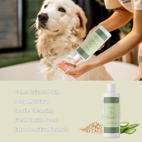 Oatmeal Shampoo & Conditioner Set for Dog and Cat | Free Gift