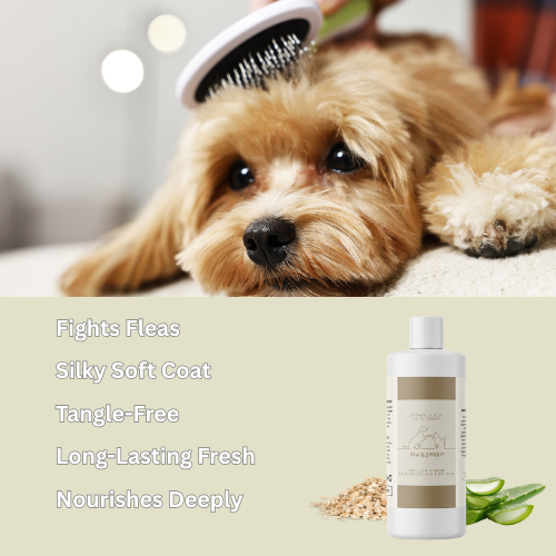 Oatmeal Shampoo & Conditioner Set for Dog and Cat | Free Gift