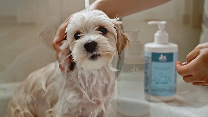 Coconut & Avocado Shampoo for Dogs and Cats